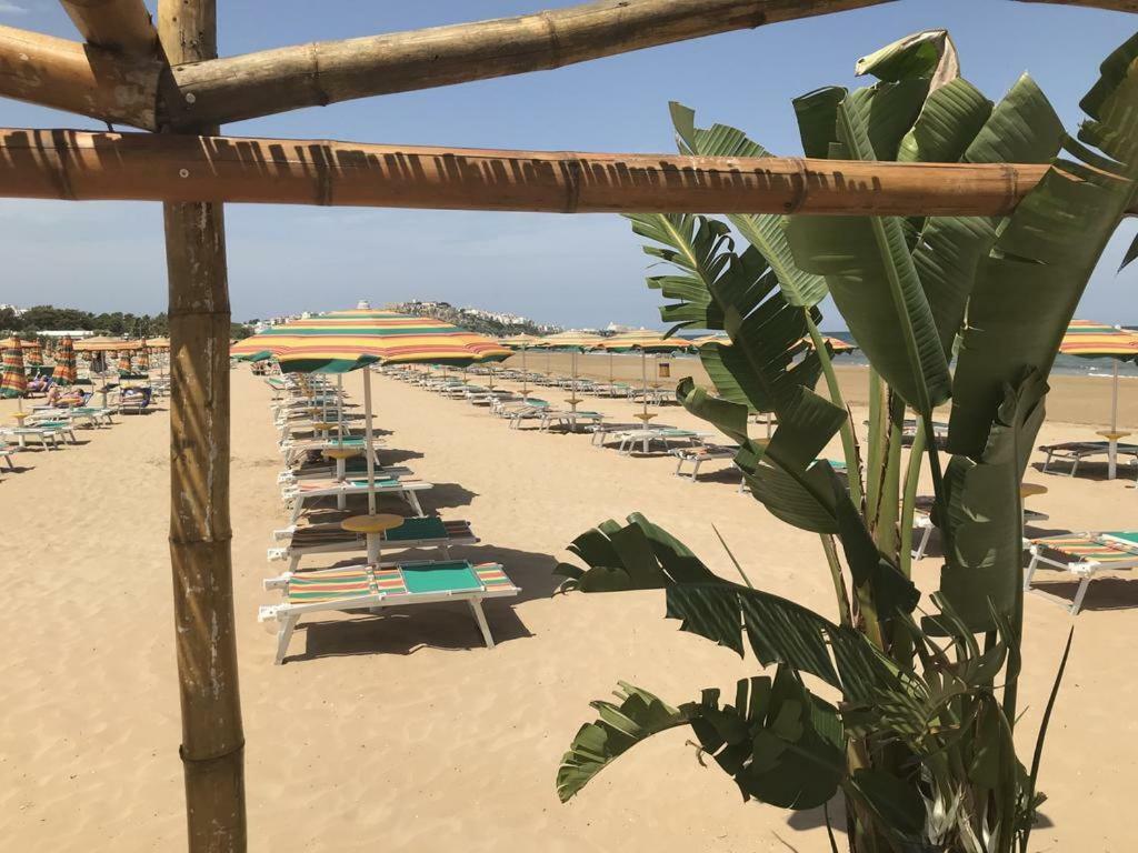 Margherita Apartment Vieste